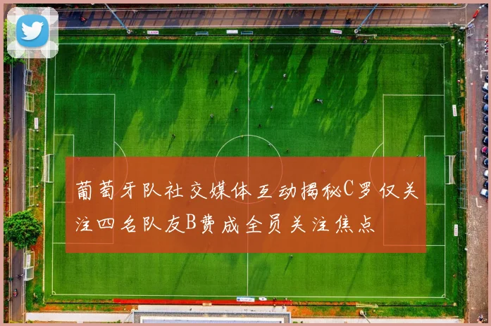 葡萄牙队社交媒体互动揭秘C罗仅关注四名队友B费成全员关注焦点