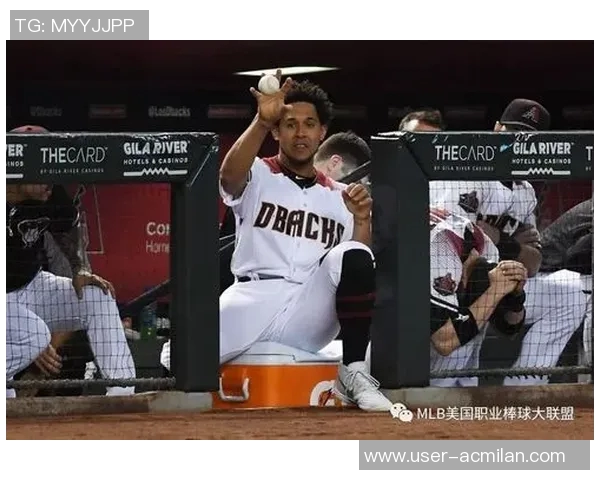 哈珀谈球队团结精神强调成员间互助与共同成功的重要性